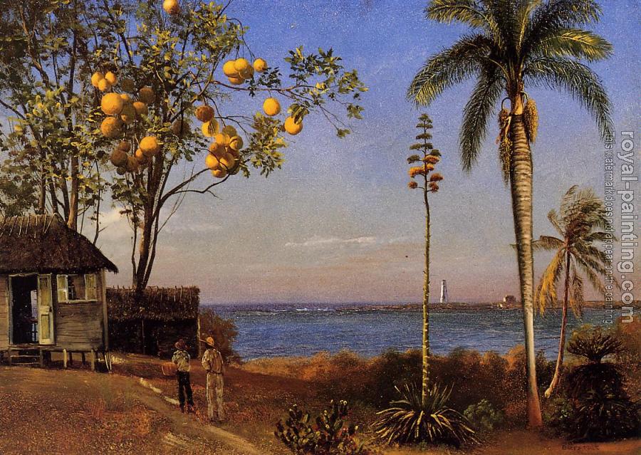 Albert Bierstadt : A View in the Bahamas